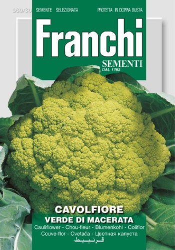 Karfiol zelený Romanesco Precoce 30/51 cca 4 g