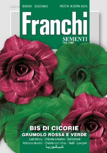 Čakanka listová zmes Grumolo Rossa e Verde cca 12 g