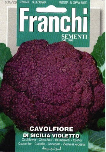 Karfiol fialový Cavolfiore Sicilia Violetto 30/29 cca 5 g