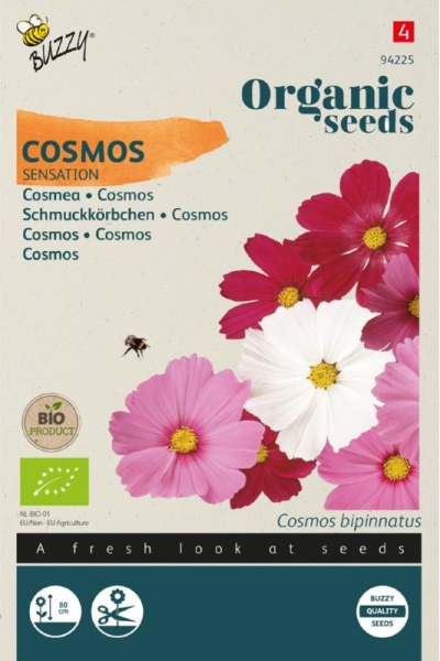 Cosmos sensation, BIO semená cca. 1g semien