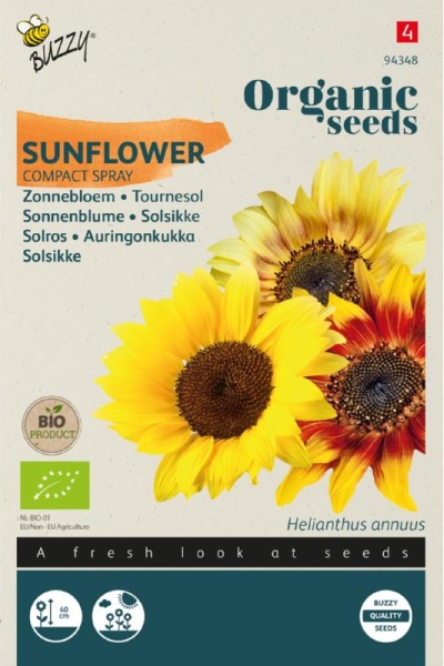 Helianthus annuus, Slnečnica nízka zmes, BIO semená cca. 1 g semien