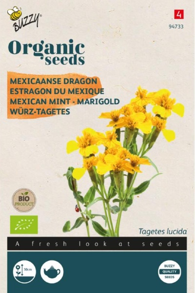 Tagetes lucida, Mexická mäta, BIO semená cca 0,2 g