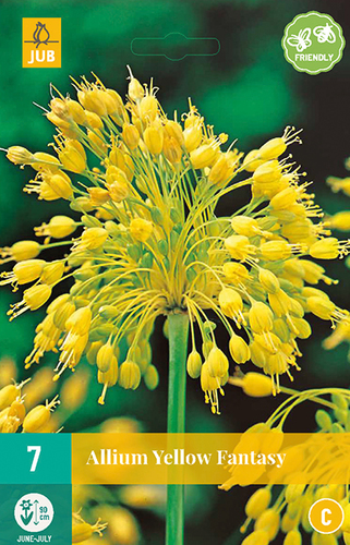 Allium Yellow Fantasy- 7 ks