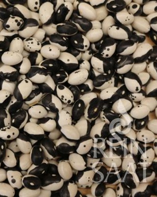 Fazuľa kríčková Ying Yang , Dalmatin BIO cca. 40 g