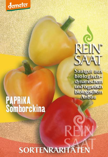 Paprika sladká Somborckina cca 30 semien