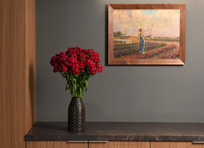 Dianthus barbatus Sweet Chery 1000 semien