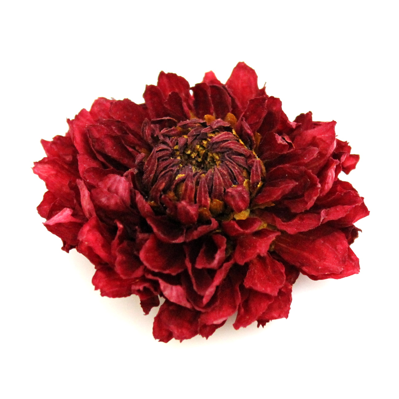 Sušené dálie extra bez stonky červená 1 kus