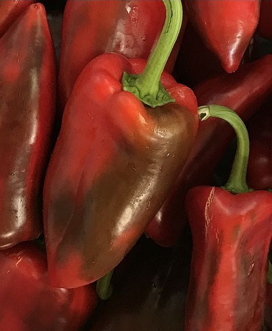 Paprika sladká Kaprima F1 100 semien