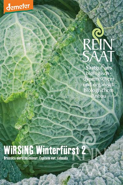 Kel hlávkový Winterfürst 2 BIO cca 60 semien