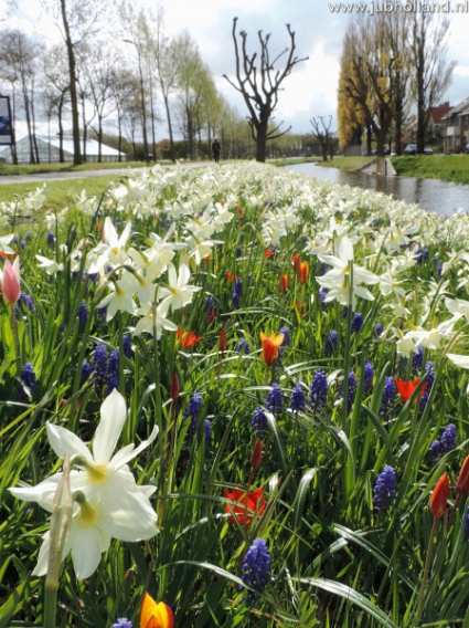 Zmes Leerdam, na 1m2