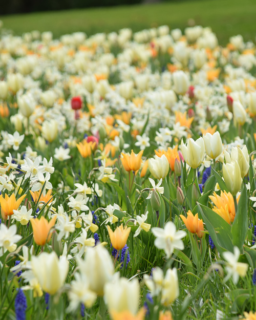 ZMES Oslo, na 1m2 cca 250 ks