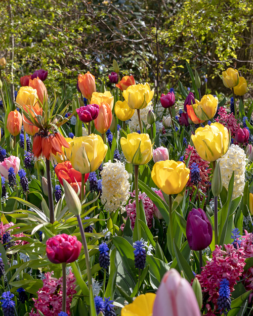 Kombinácie Passion   , 100 ks