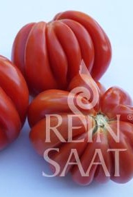 Rajčiak indeterminantný Malea BIO cca 20 semien