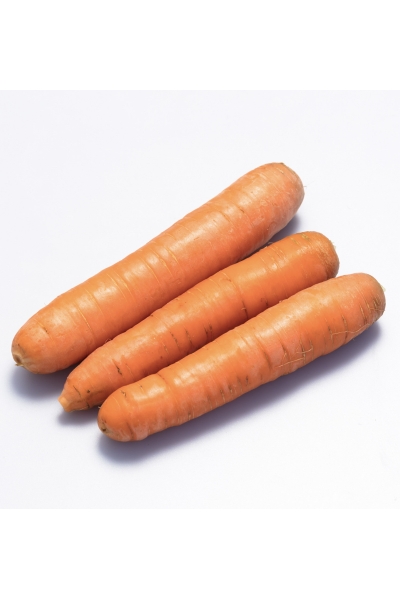 Mrkva Carvora F1 cca 10.000 semien