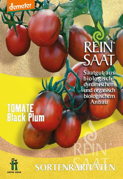 Rajčiak indeterminantný Black Plum BIO cca 30 semien