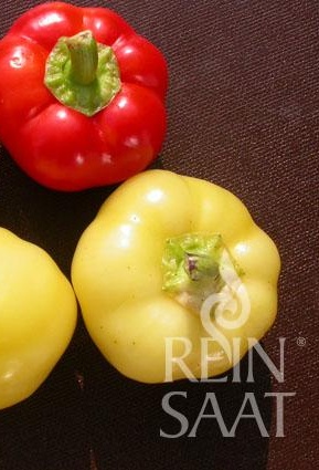 Paprika pálivá Mustafa BIO cca 30 semien