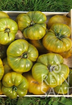 Rajčiak polovysoký až kolíkový Charlie Green BIO cca 30 semien