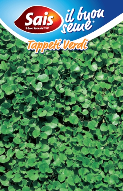 Dichondra repens náhrada trávnika 500g na 50 m2
