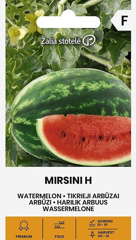 Semená melónu dyne Mirsini