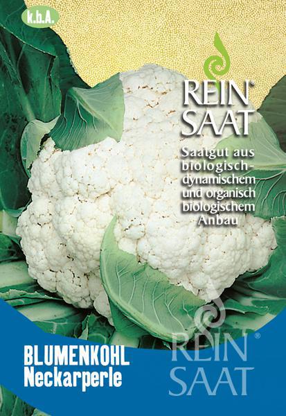 Karfiol Neckarperle BIO cca 50 semien