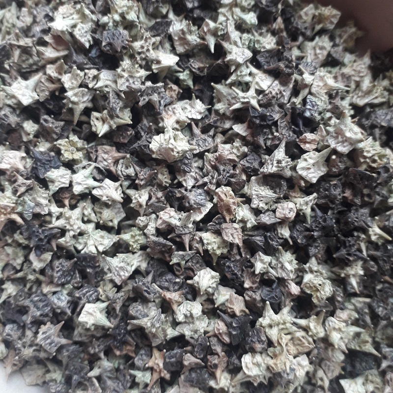 Kotvičník zemný Tribulus terrestris 10 g