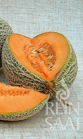 Melón cukrový Best Jumbo BIO cca 25 semien