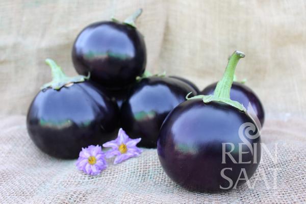 Baklažán Boccia Nera BIO cca 25 semien