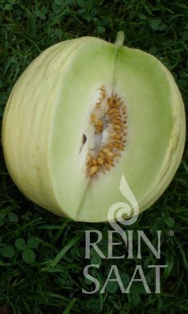 Melón cukrový Hógolyó BIO 25 semien