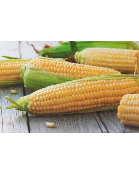 Kukurica cukrová, supersladká Messenger F1 5000 semien 