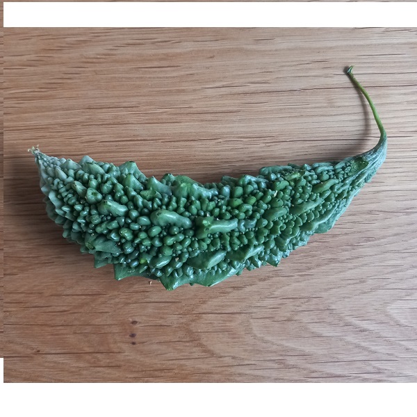 Momordica charantia,Ampalaya, horká uhorka 20 g (cca 80 semien)
