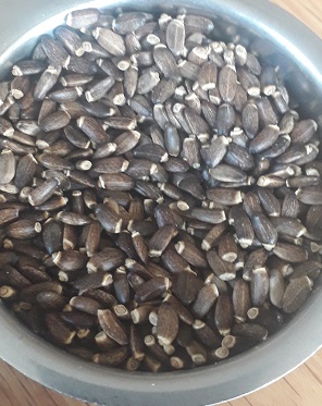 Ostropestrec mariánsky, Silybum marianum 500 g (cca 15000 semien )