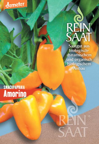 Paprika sladká Amorino BIO cca 10 semien