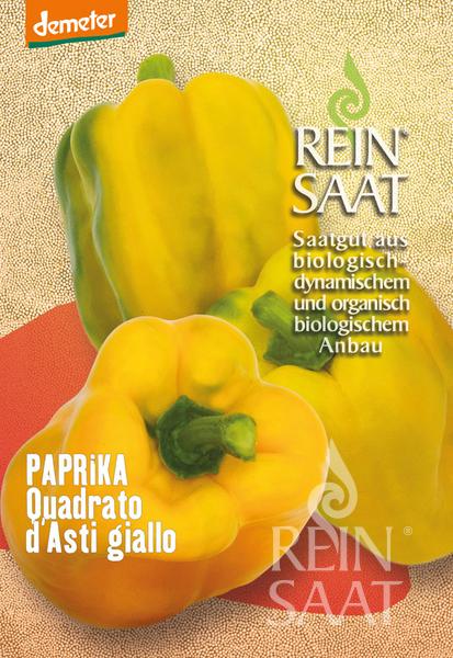 Paprika sladká Quadrato d´Asti giallo cca 35 semien