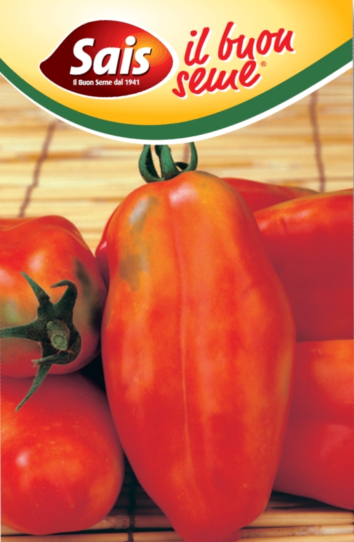 Rajčiak indeterminantný Polifemo cca 50s