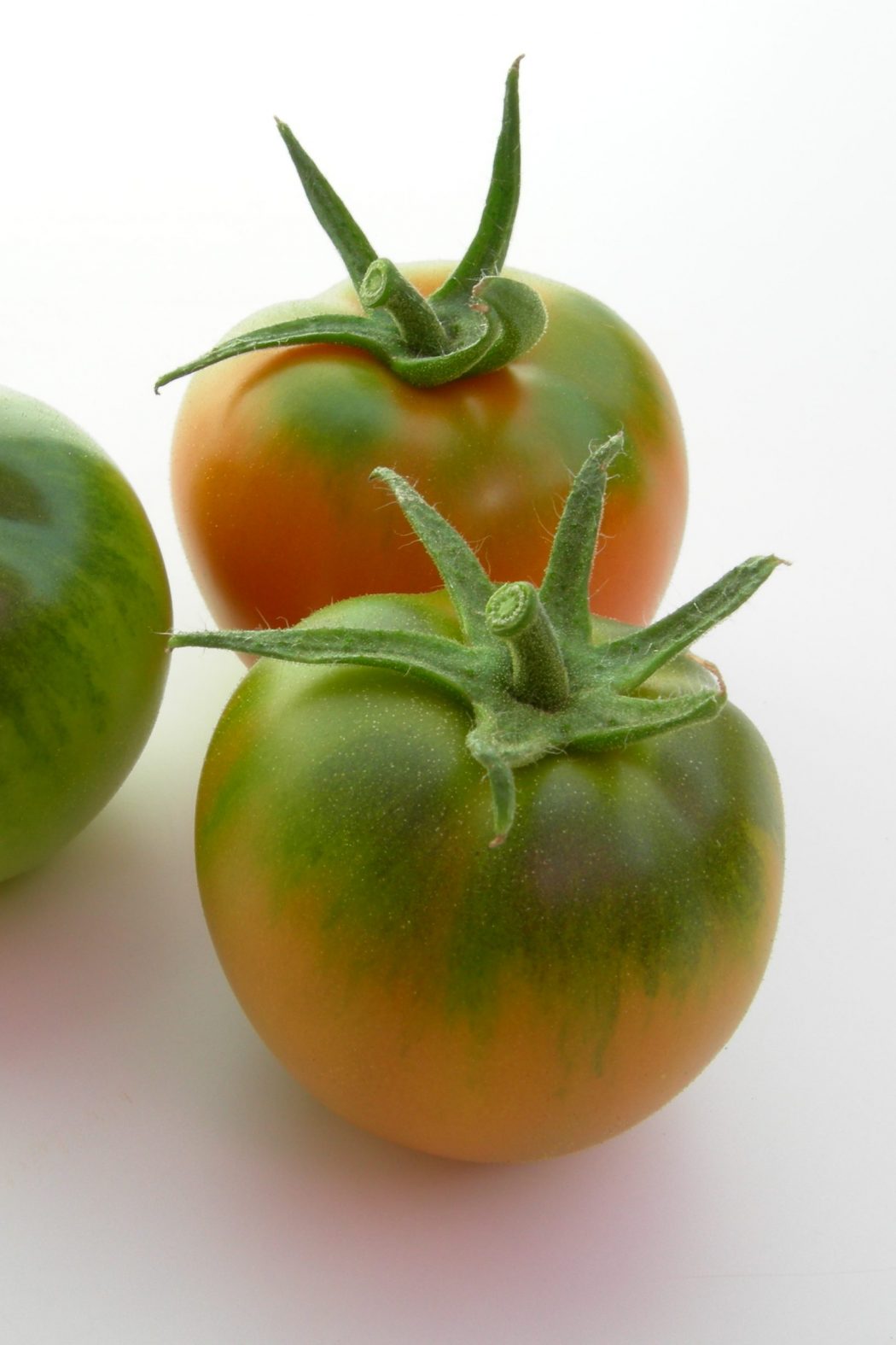 Rajčiak indeterminantný Reginella F1 cca 25 semien