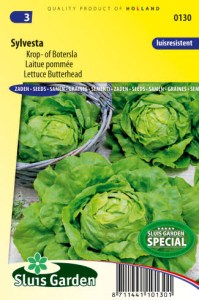 salat hlavkovy sylvesta, semena salatu, salatove semena, semena zeleniny, zeleninove semena