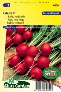 Redkovka cervená gulatá Celesta F1 semena zeleniny, zeleninove semena
