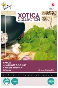 080408!560x560_500x500