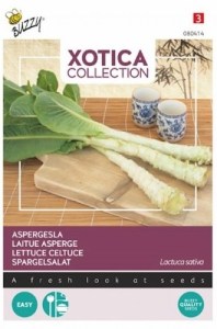 080414!560x560_500x500