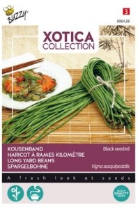 080428!560x560_500x500