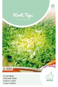 Semená endívia, kuceravá endívia, endívia,