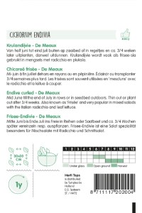 Semená endívia, kuceravá endívia, endívia,