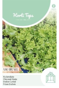 Semená endívia, kuceravá endívia, endívia de Meaux,