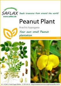 12376-arachis-hypogaea-seed-package-front-cr-english