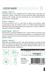 Paprika Solero, semená papriky, blocky paprika,