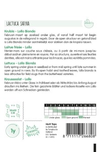 Šalát listový, Lollo Bionda