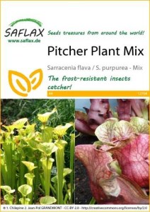 12704-sarracenia-mix-seed-package-front-cr-english