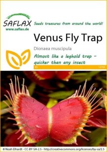 12705-dionaea-muscipula-seed-package-front-cr-english