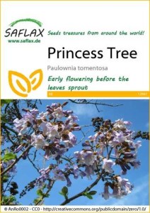 12961-paulownia-tomentosa-seed-package-front-cr-english