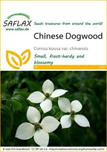 12982-cornus-kousa-seed-package-front-cr-english
